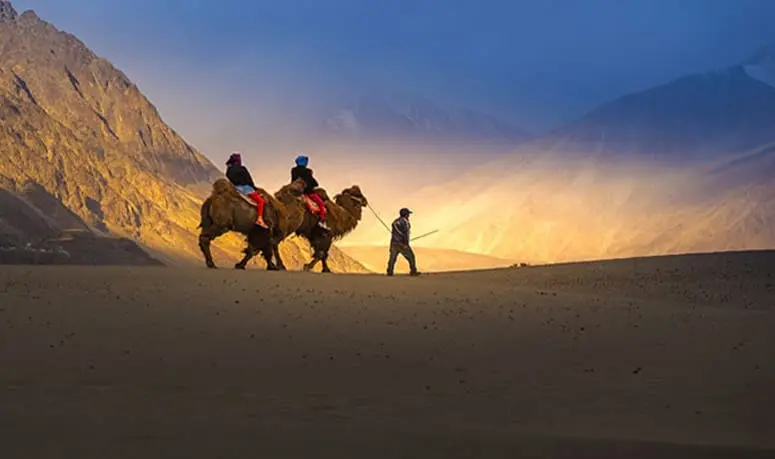 5 Days Best of Leh Ladakh Trip